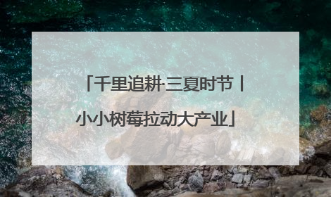 千里追耕·三夏时节丨小小树莓拉动大产业